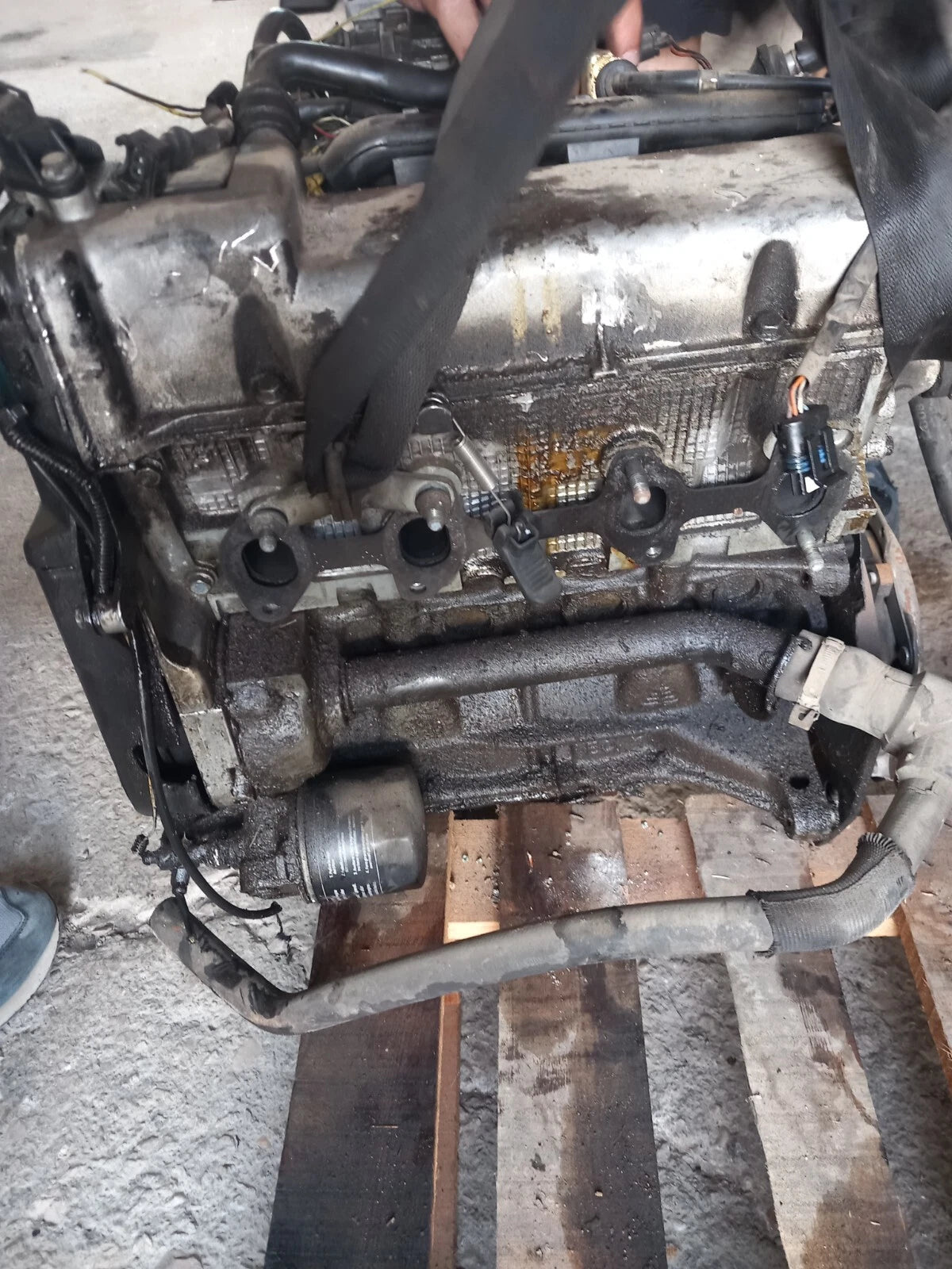 MOTOREFIAT PANDA1.1 benzina cod.187A1000 150 mila km